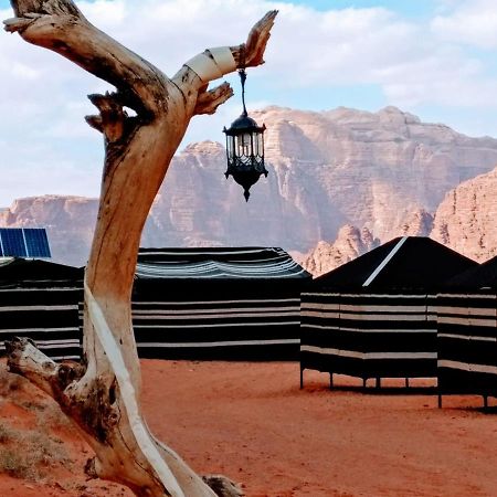 Desert Tree Camp&Tours Wadi Rum Zewnętrze zdjęcie