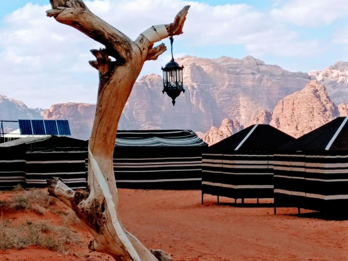 Desert Tree Camp&Tours Wadi Rum Zewnętrze zdjęcie